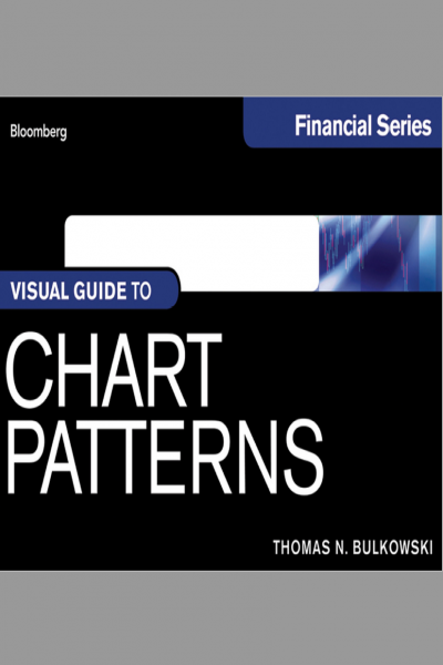 Bộ Sách Visual Guide to của Bloomberg Financial Series