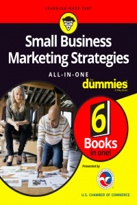 Small Business Marketing Strategies All In One for Dummies 6 Books in One